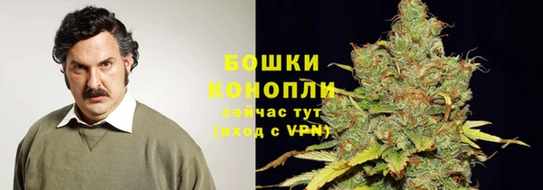 соль курить ск Богданович