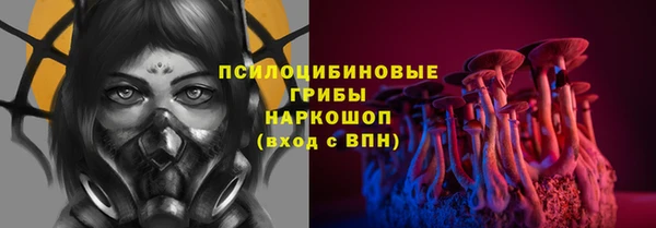 таблы Белокуриха